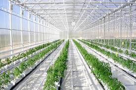 Greenhouse Equipment